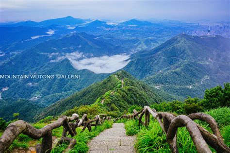 梧桐山|梧桐山